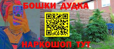 a pvp Донской