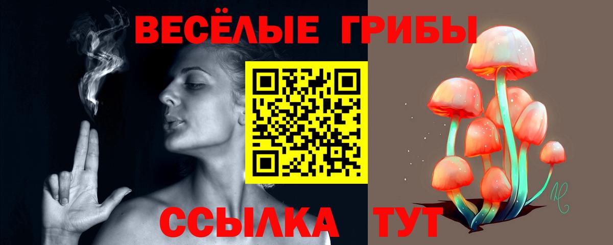 Галлюциногенные грибы MAGIC MUSHROOMS  Вход с VPN  Геленджик 